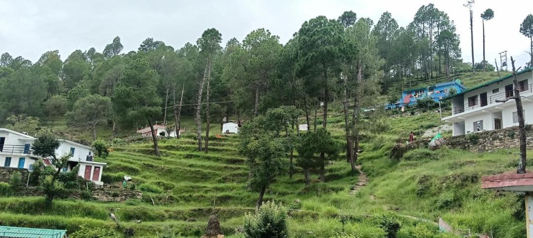Photo of Others in Almora