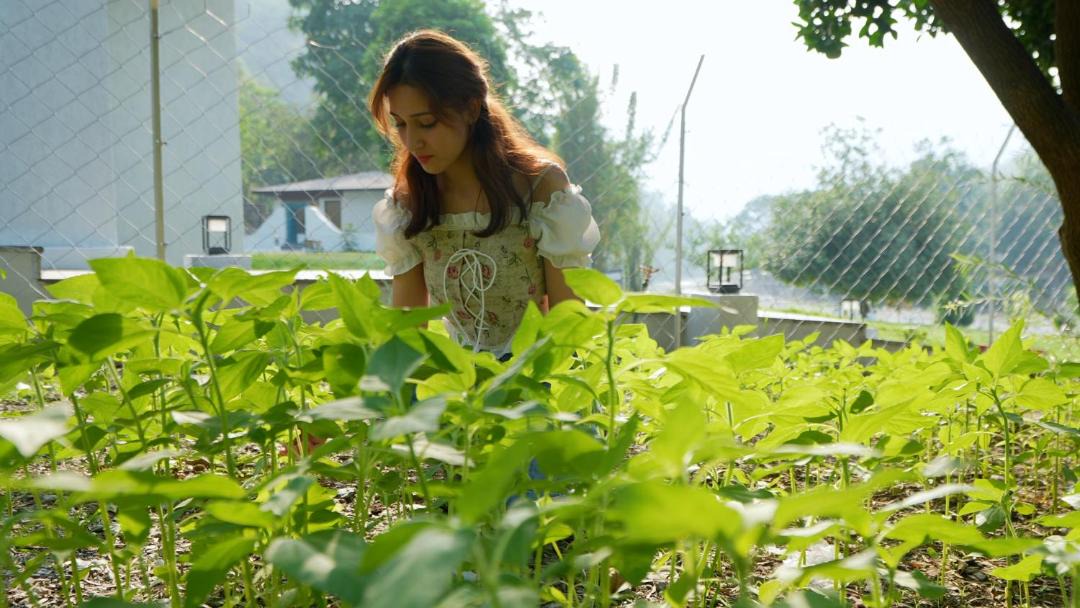 Photo of Others in Jogiyana
