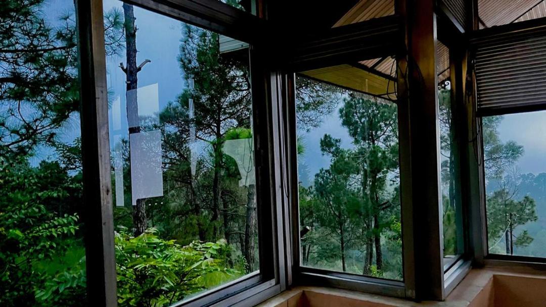 Photo of Others in Chail