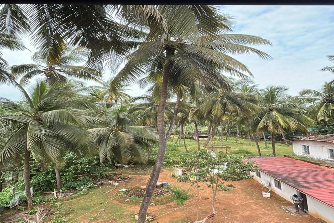 Photo of Others in Gokarna