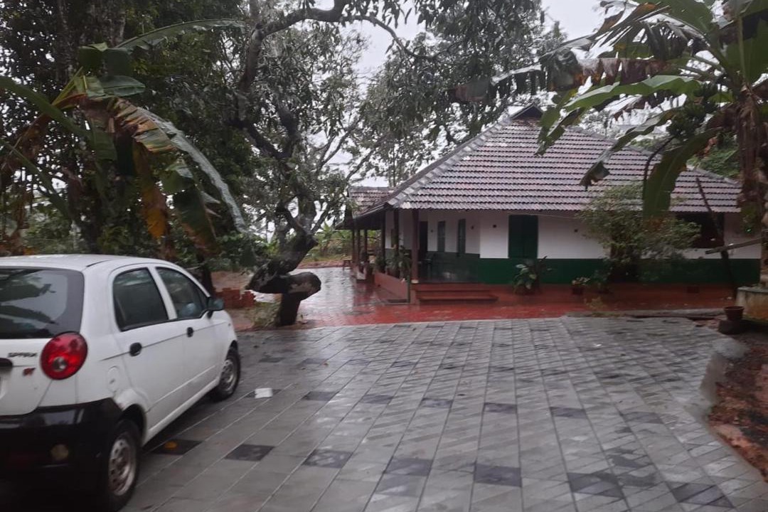 Photo of Others in Mananthavady