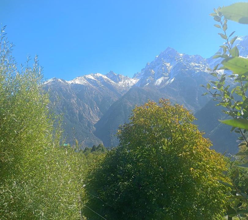 Photo of Others in Kalpa