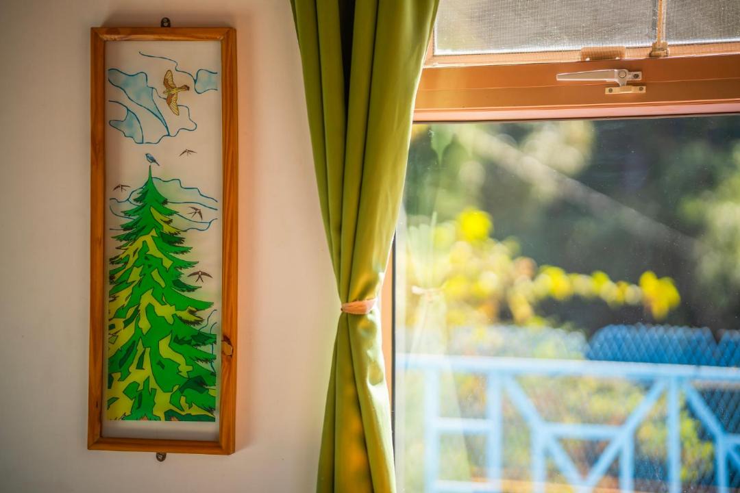 Photo of Others in Mussoorie