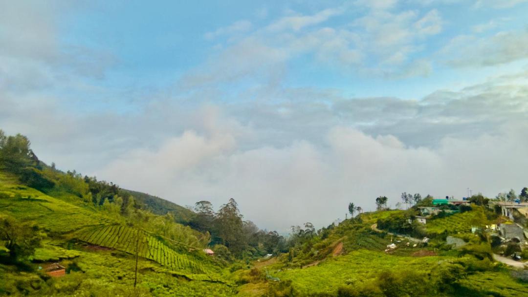 Photo of Others in Ooty