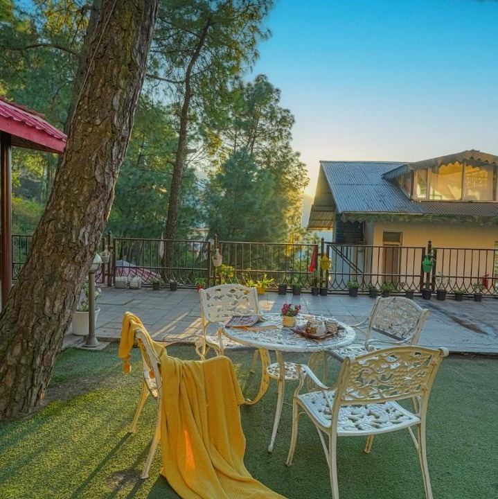 Photo of Others in Kasauli