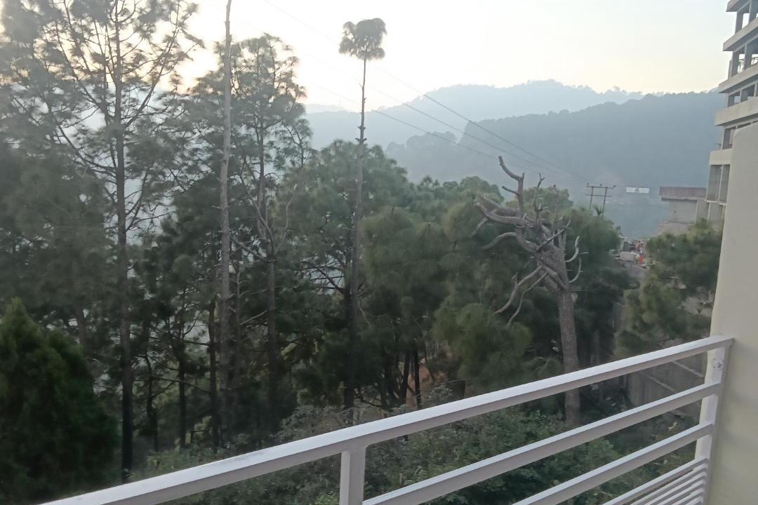 Photo of Others in Dharampur