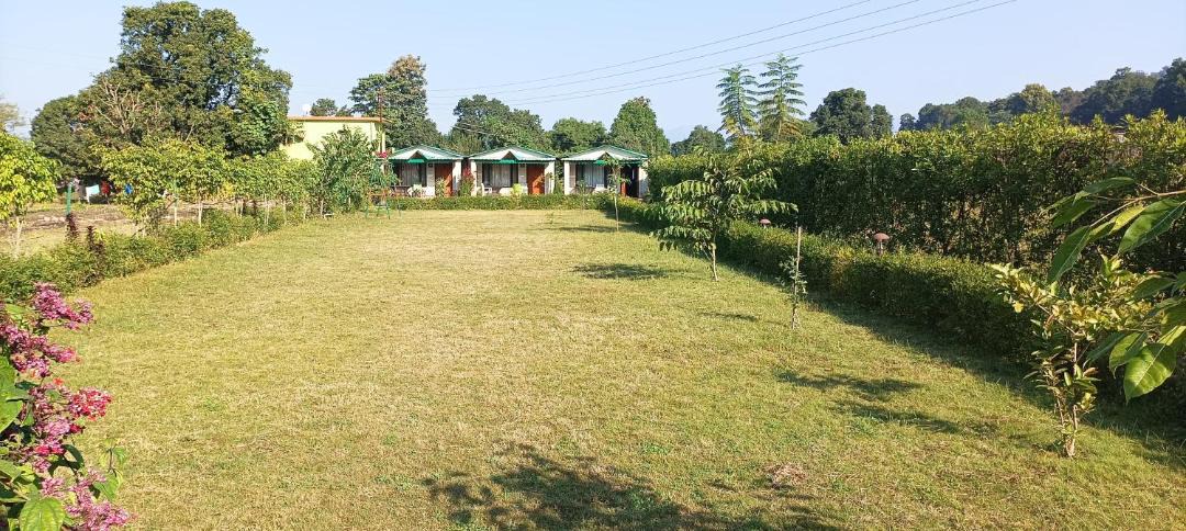 Photo of Others in Ramnagar