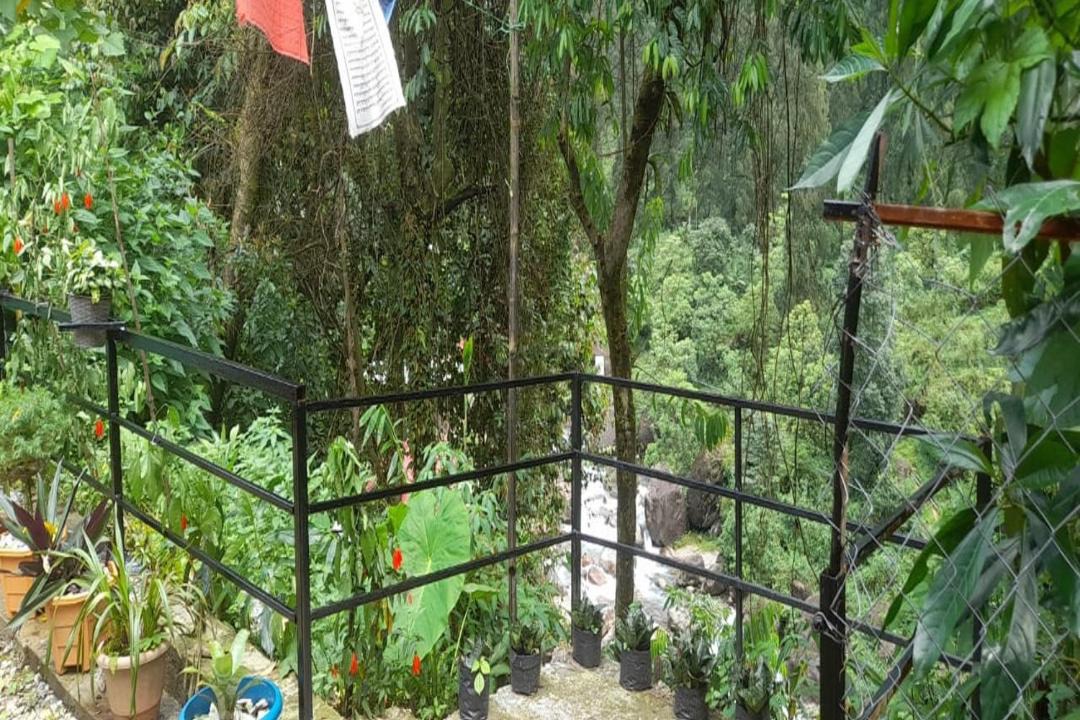 Photo of Others in Kumai