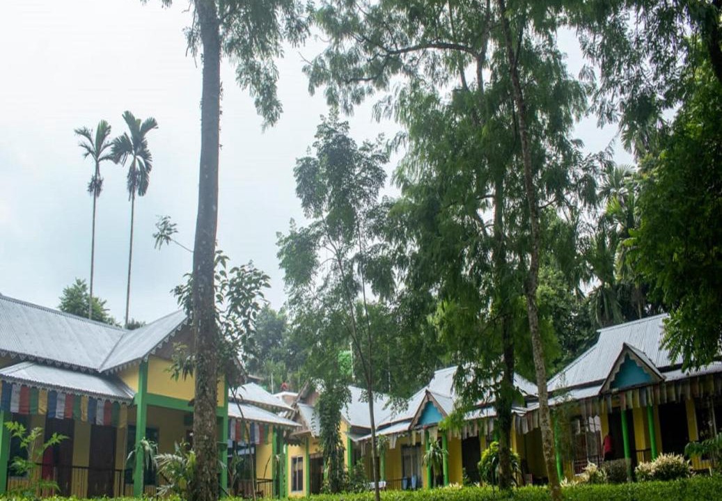 Photo of Others in Neora