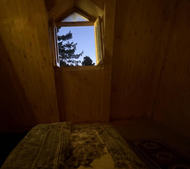 Photo of Bedroom in Manali