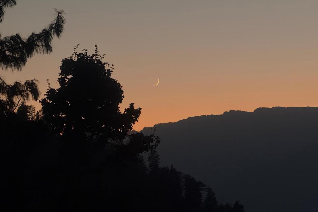 Photo of Others in Manali