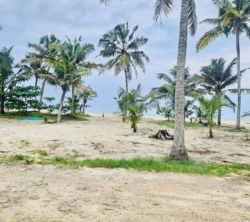 Photo of Others in Mararikulam