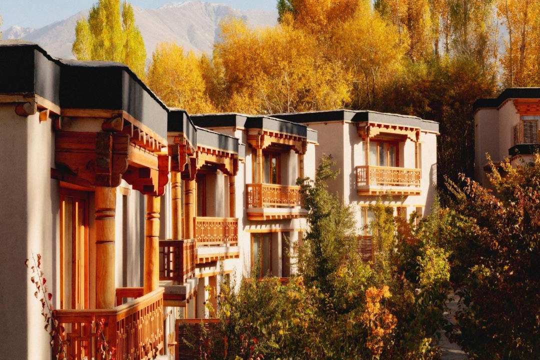 Photo of Others in Leh