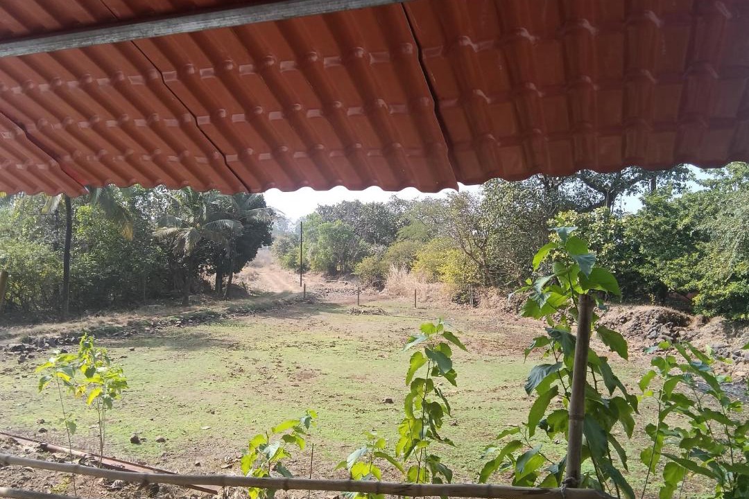 Photo of Others in Mhsala