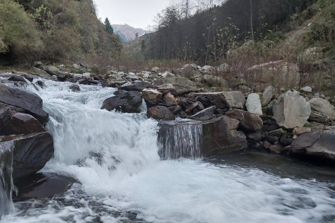 Photo of Others in Manali