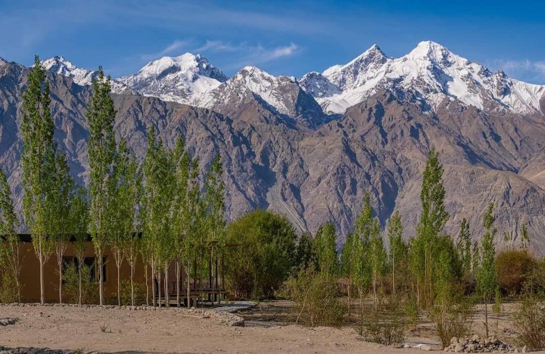Photo of Others in Nubra Valley