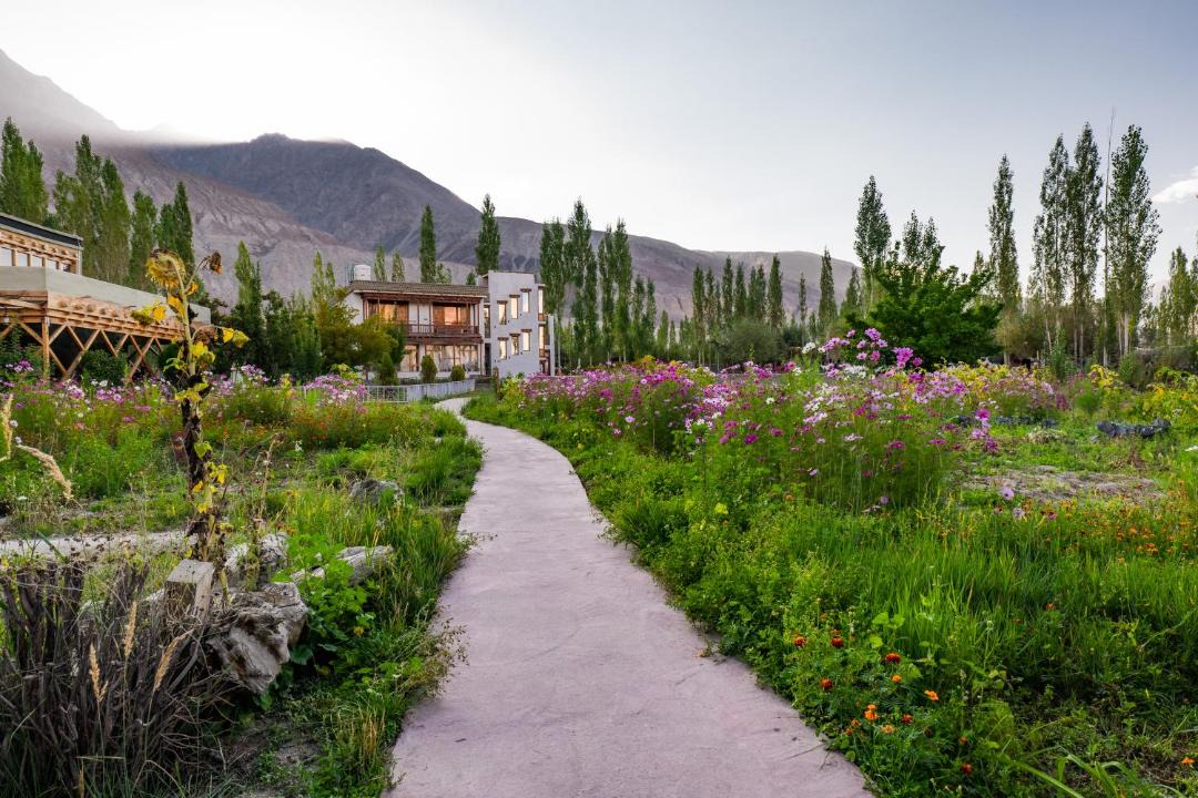 Photo of Others in Nubra Valley