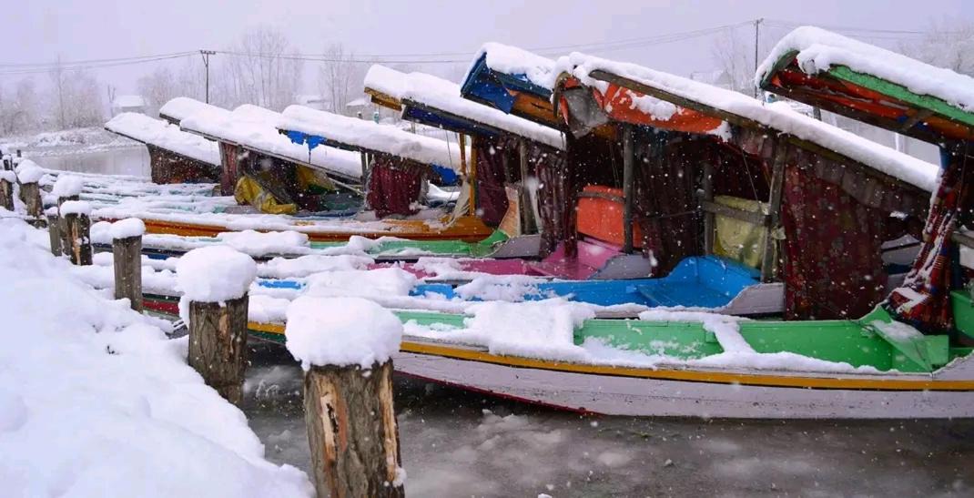 Photo of Others in Dal Lake