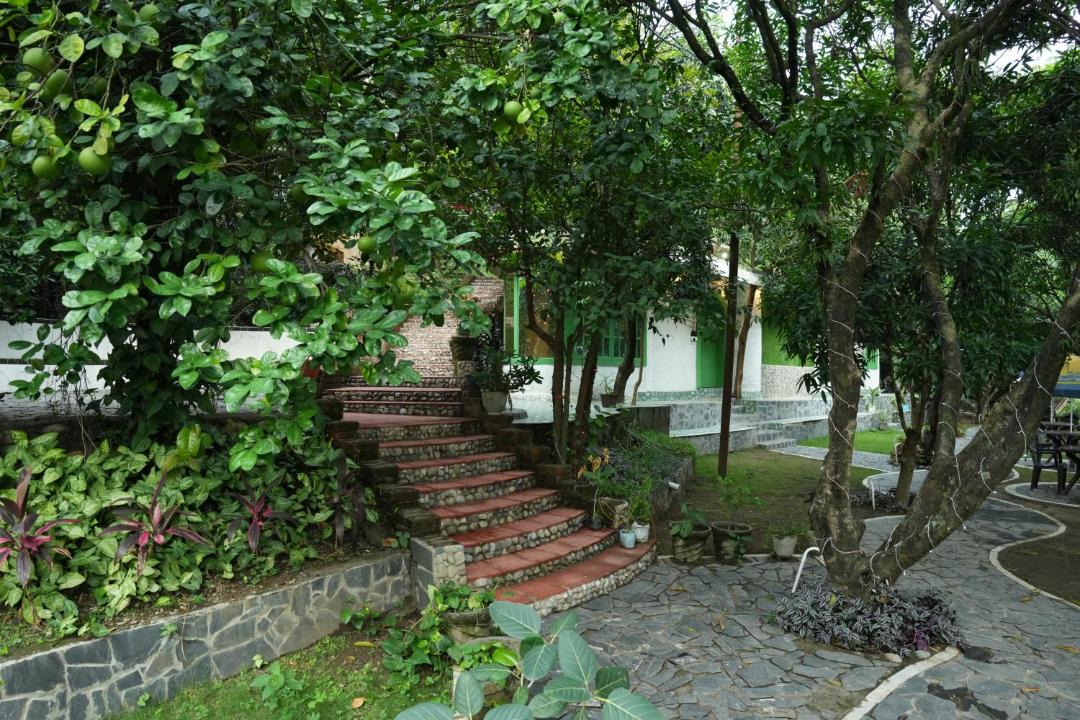 Photo of Others in Dehradun