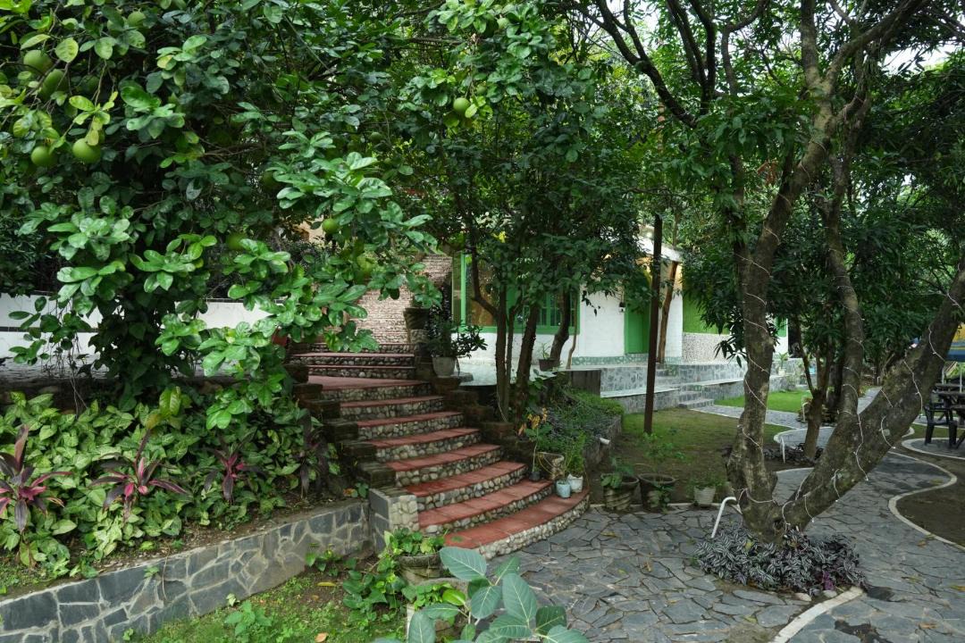 Photo of Others in Dehradun