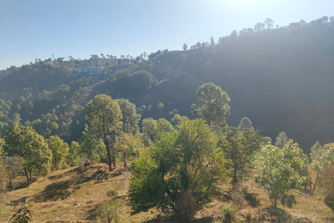 Photo of Others in Almora