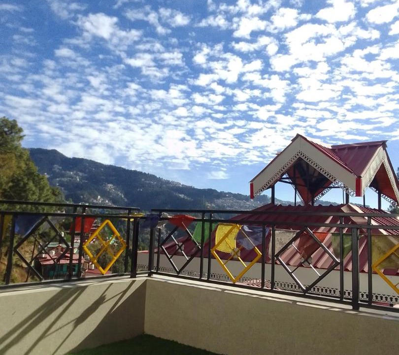 Photo of Others in Shimla