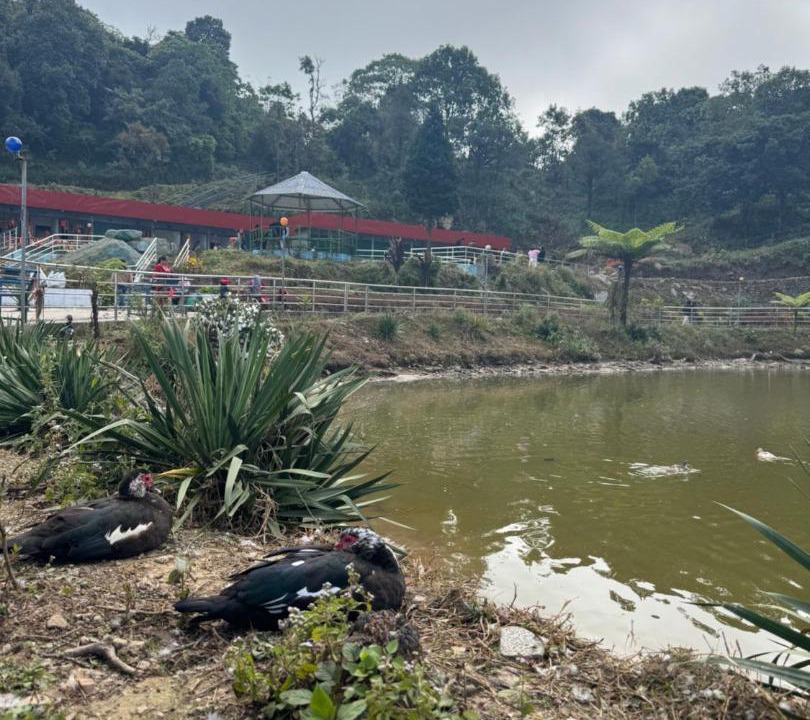 Photo of Others in Mirik