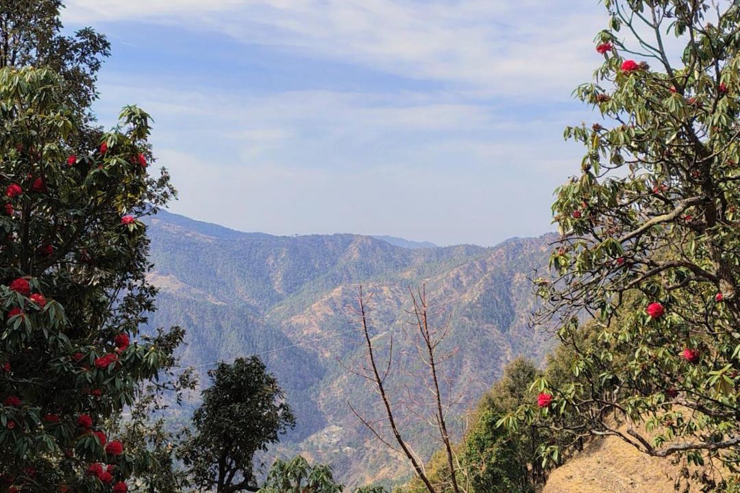 Photo of Others in Tehri