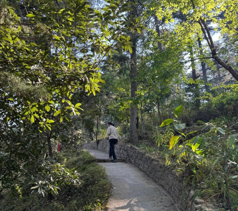 Photo of Others in Almora