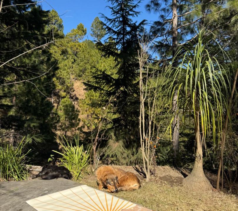 Photo of Outdoor in Almora