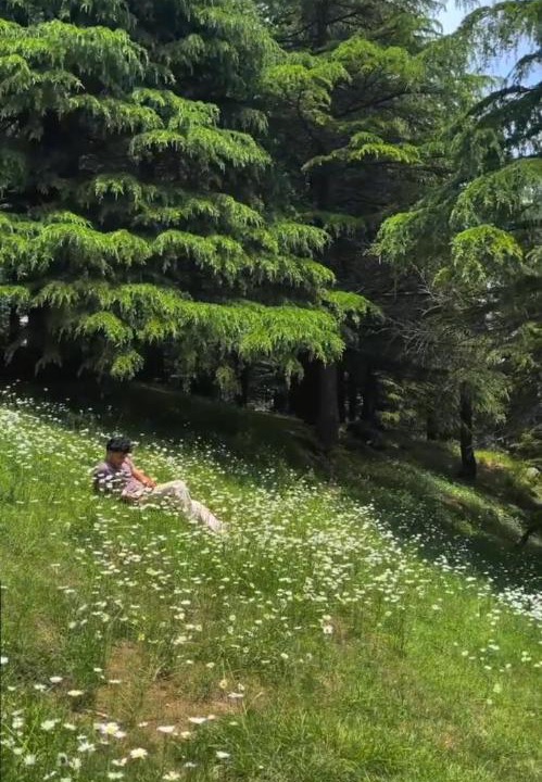 Photo of Others in Dalhousie