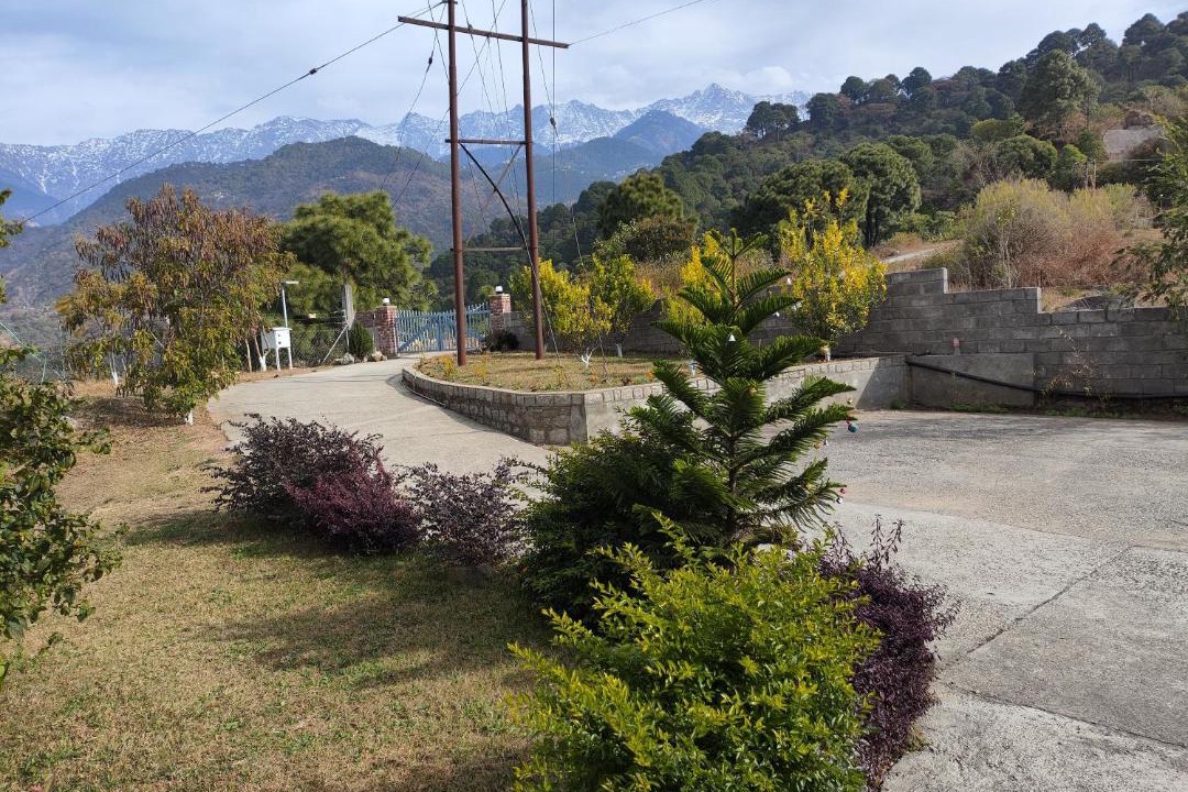 Photo of Others in Dharamshala