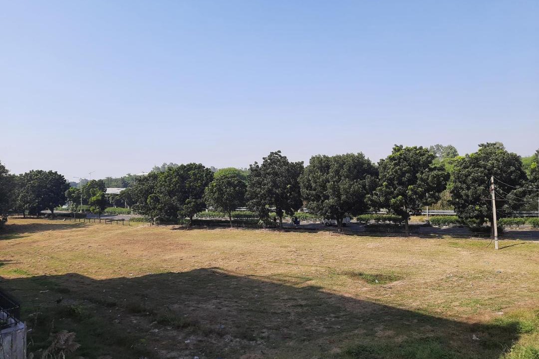Photo of Others in Manimajra