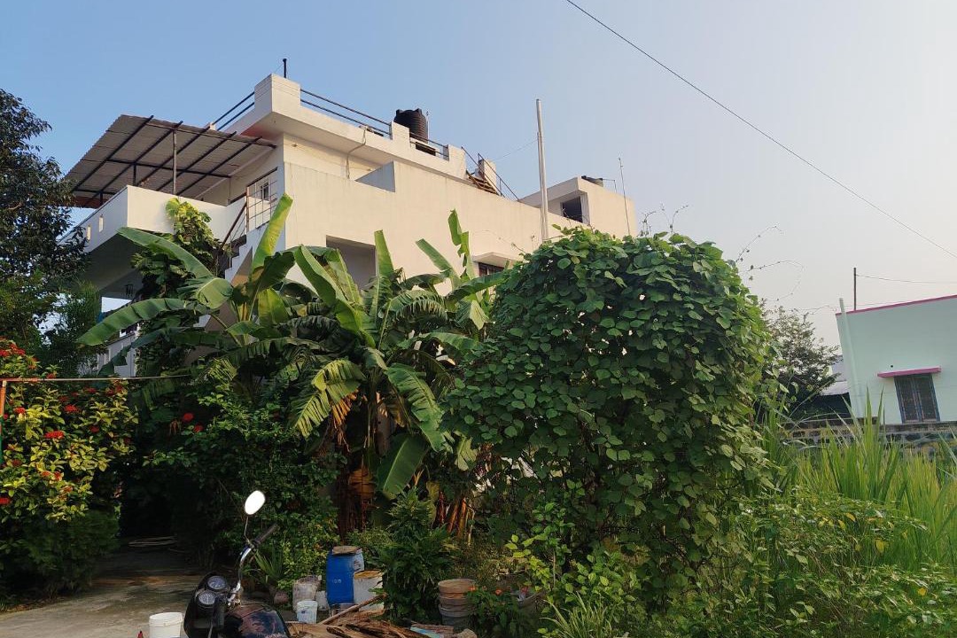 Photo of Others in Tiruvannamalai