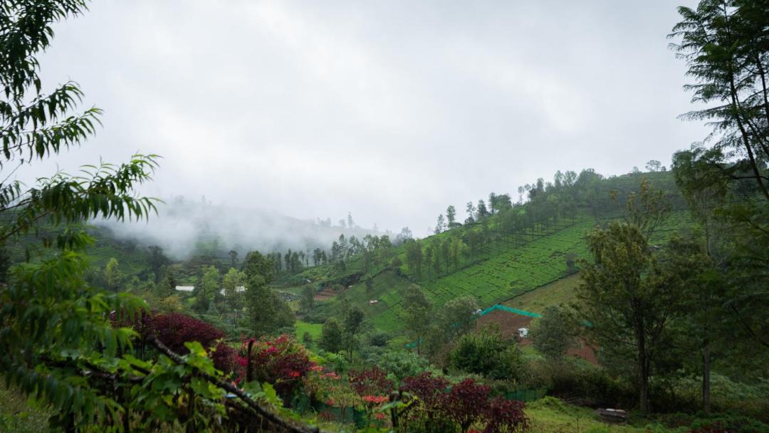 Photo of Others in Kotagiri
