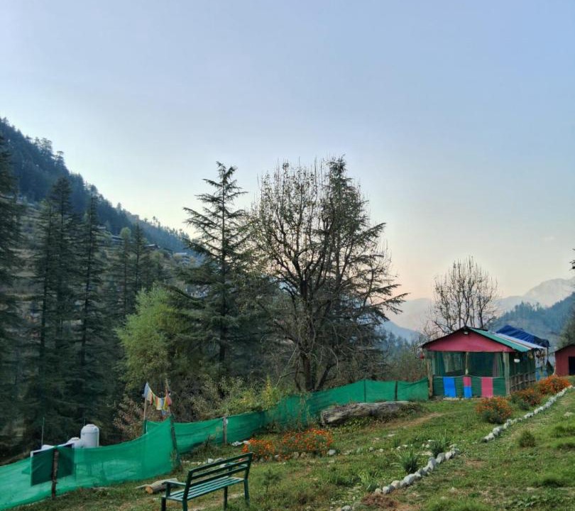 Photo of Others in Jibhi