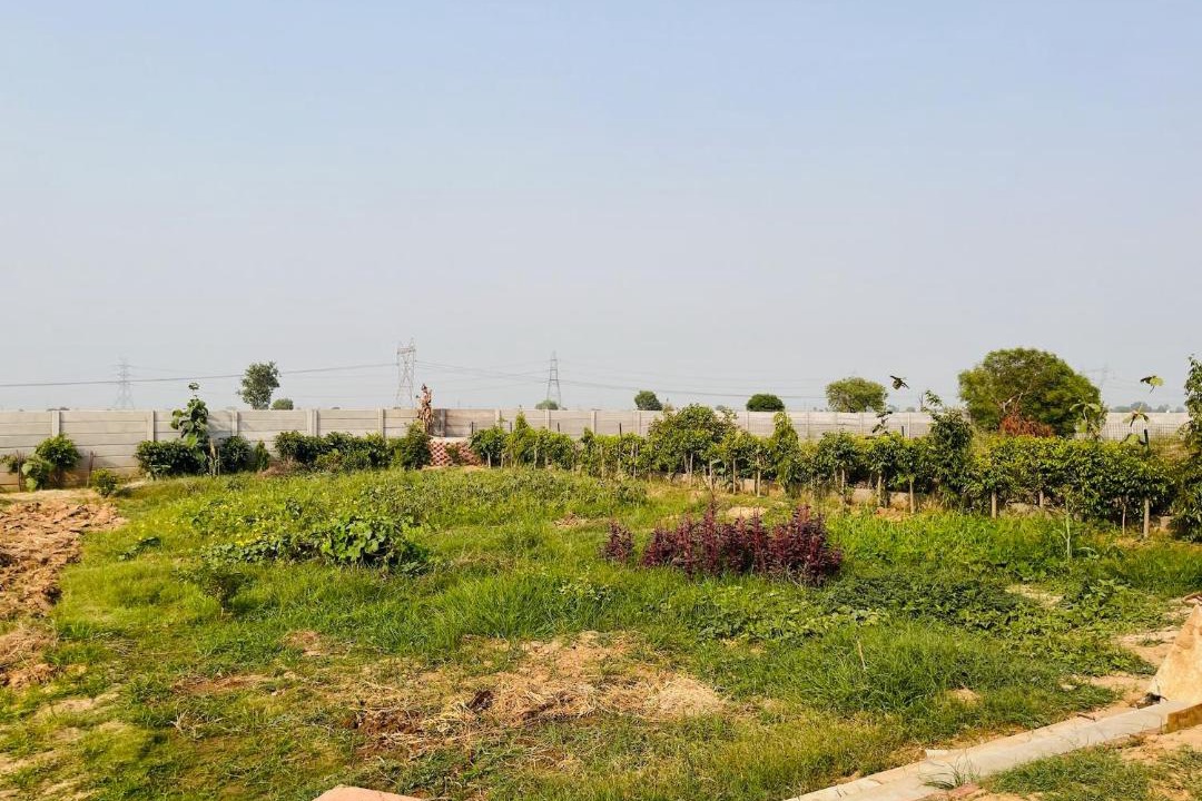 Photo of Others in Ghaziabad