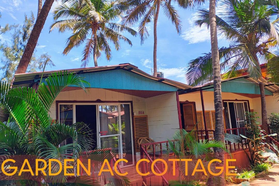 Photo of Others in Agonda
