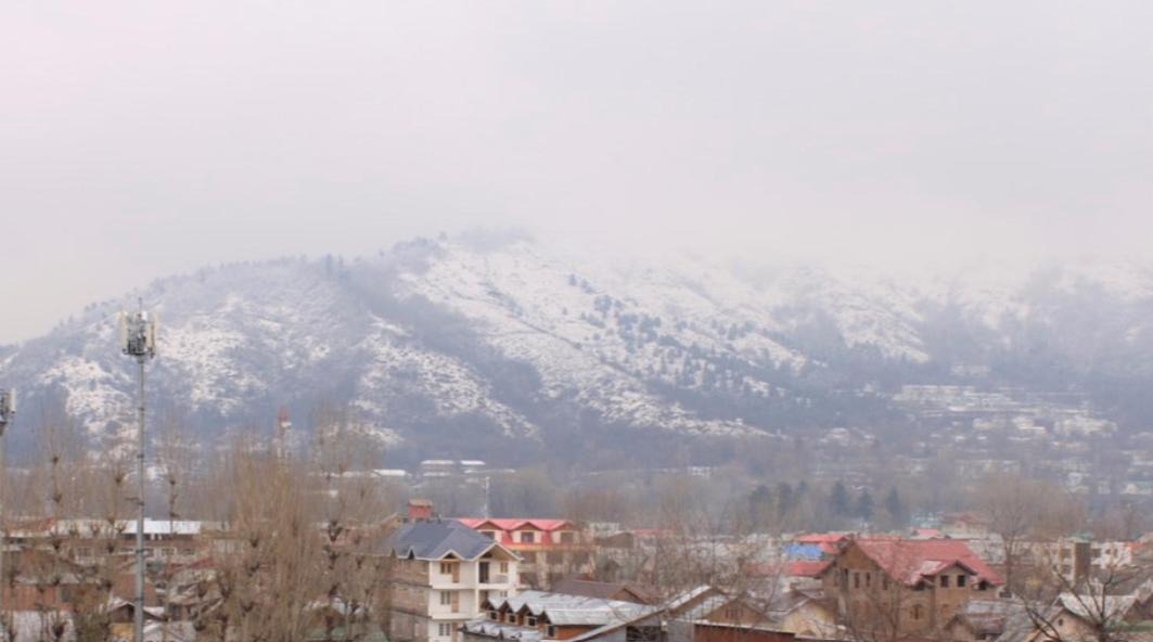 Photo of Others in Sonwar Bagh