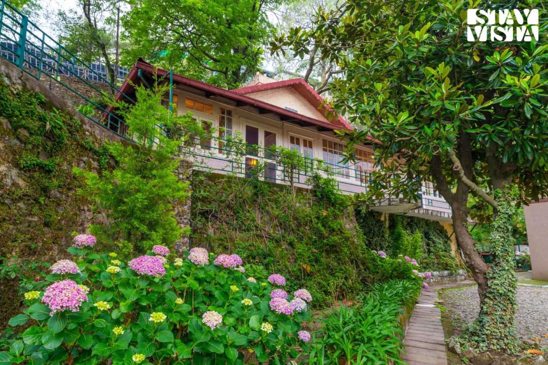 Photo of Others in Kasauli