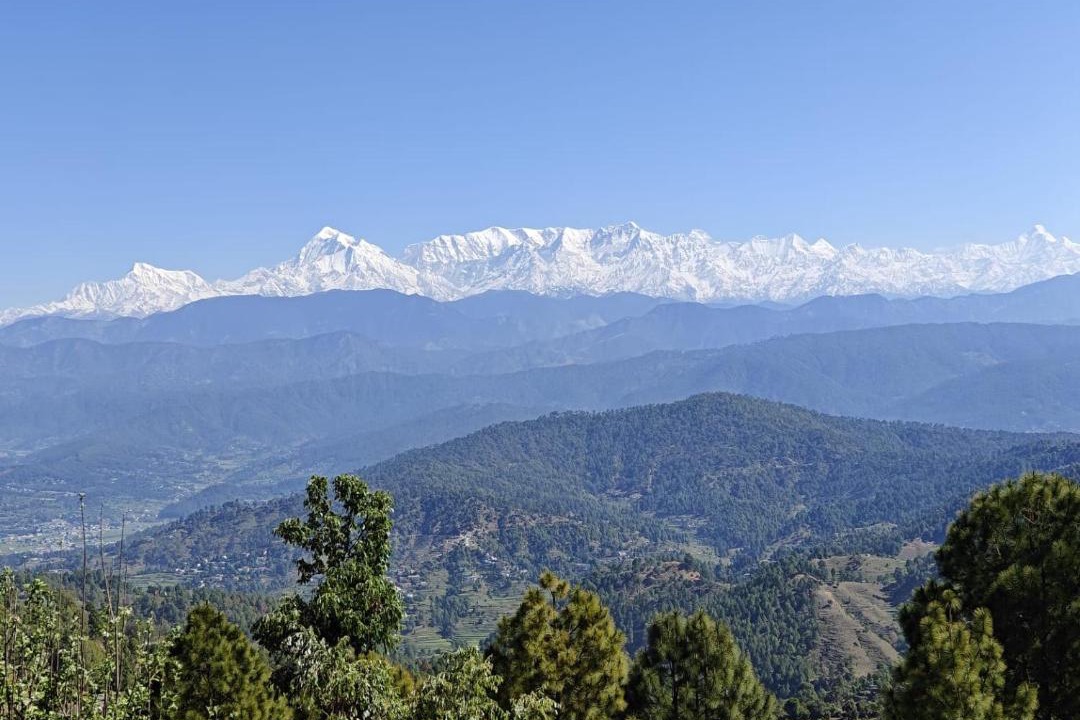 Photo of Others in Kausani