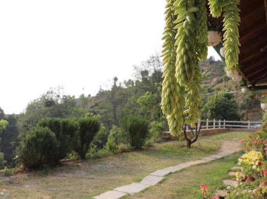 Photo of Others in Almora