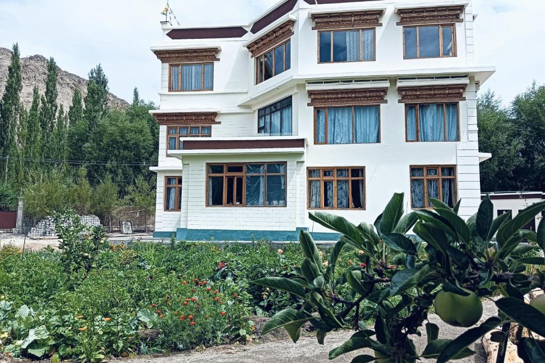 Photo of Others in Leh