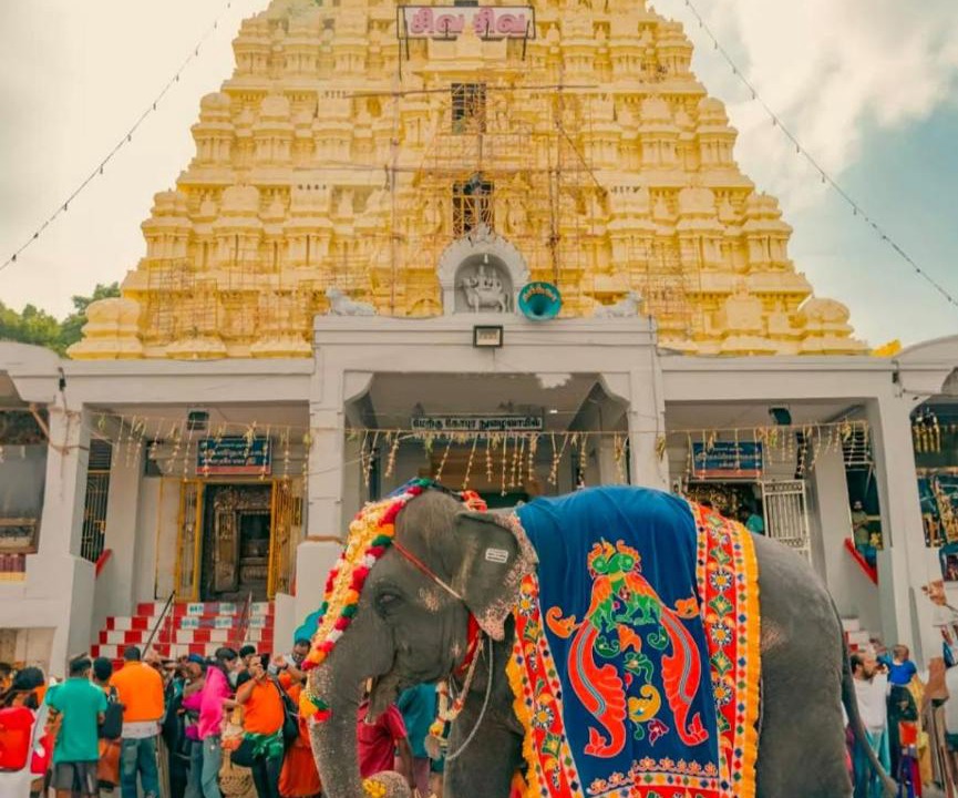 Photo of Others in Rameshwaram