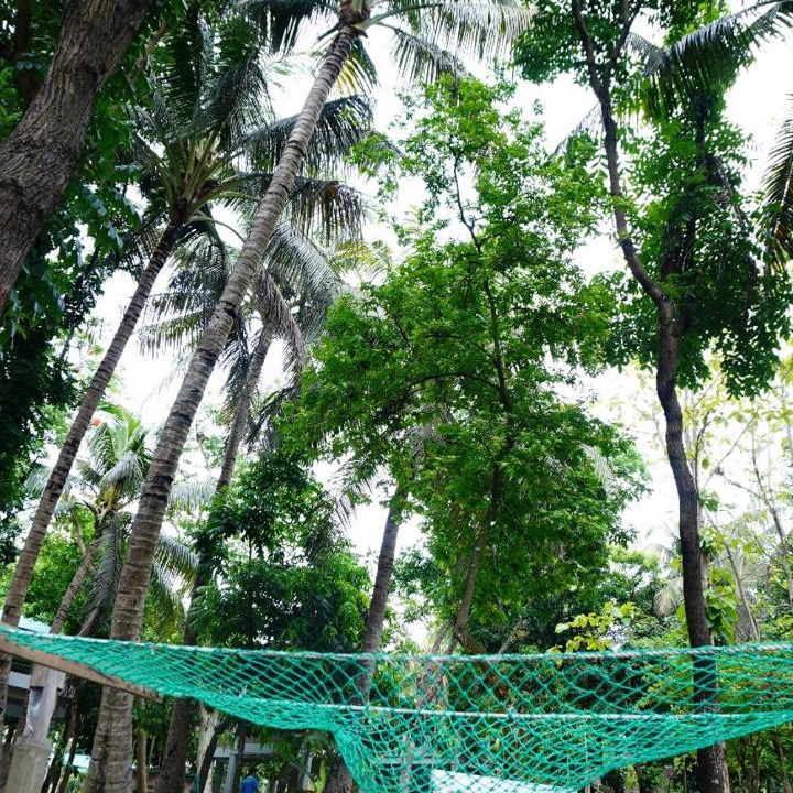 Photo of Others in Cox's Bazar
