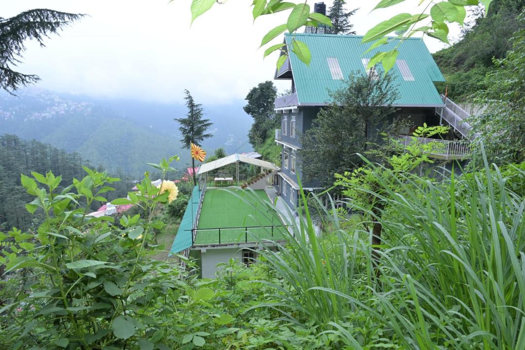 Photo of Others in Shimla