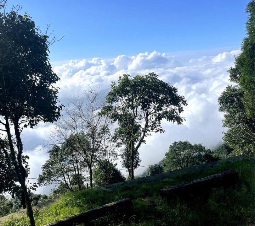Photo of Others in Kurseong