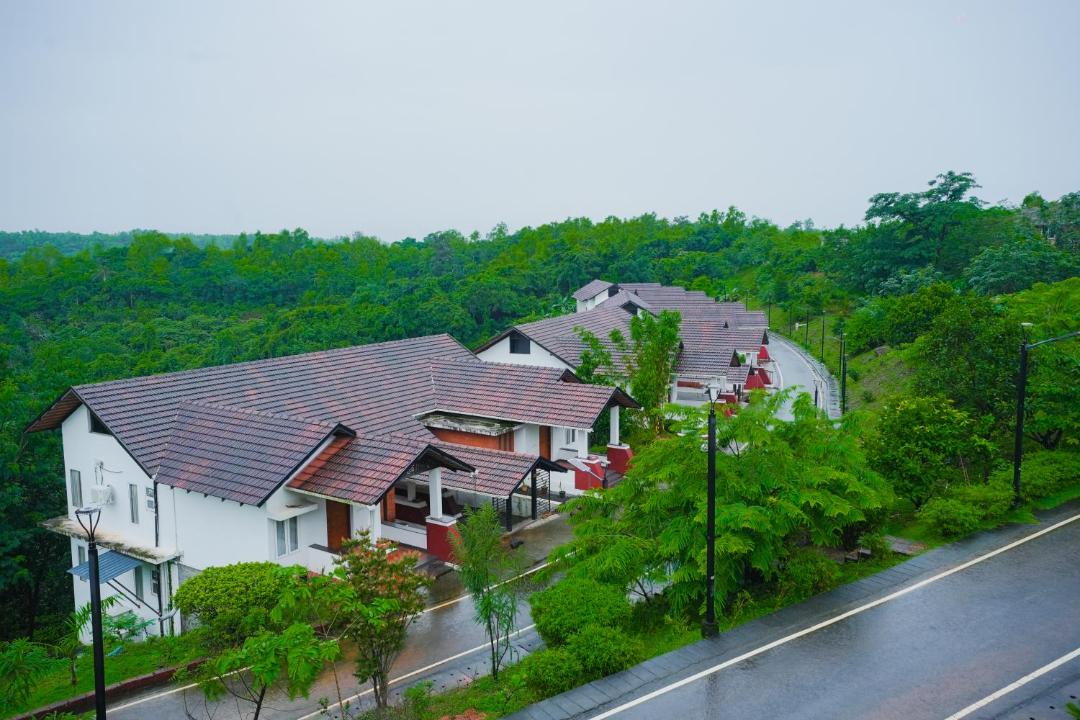 Photo of Others in Talipparamba