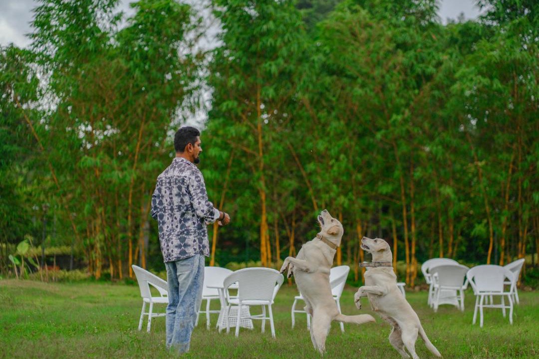 Photo of Others in Somvarpet