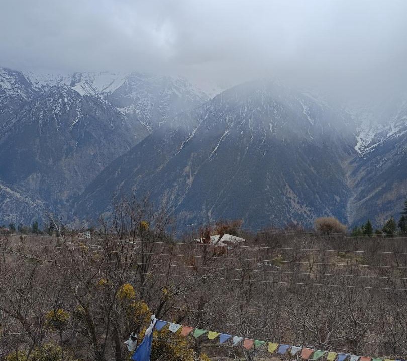 Photo of Others in Kalpa